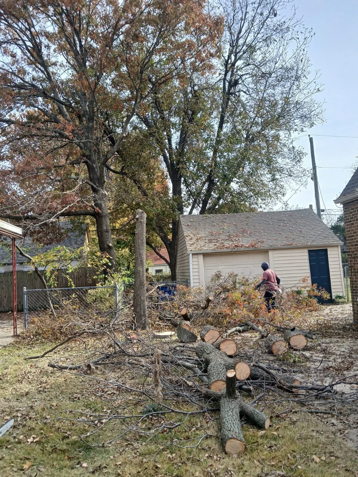 Tree Trimming Removal